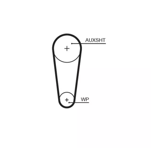 Timing Belt