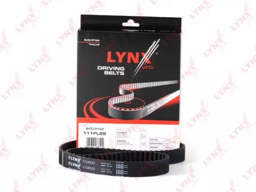 Timing Belt