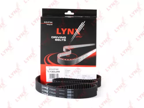 Timing Belt