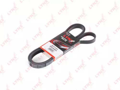 Poly V-Belt