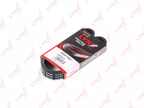 Poly V-Belt