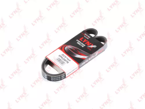 Poly V-Belt