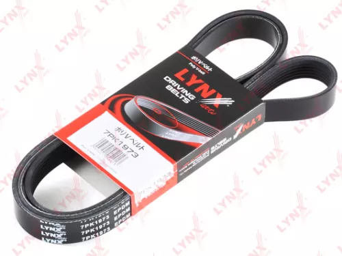 Poly V-Belt