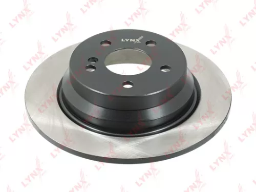 Brake disc, rear (300x10)