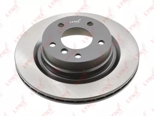 Brake disc, rear (300x20)