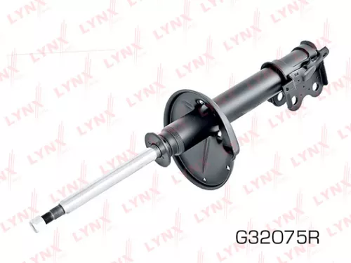 Shock absorber strut gas, right, front