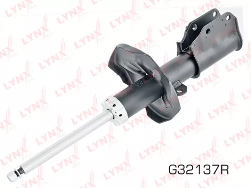 Shock absorber strut gas, right, front