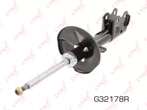 Shock absorber strut gas, right, front