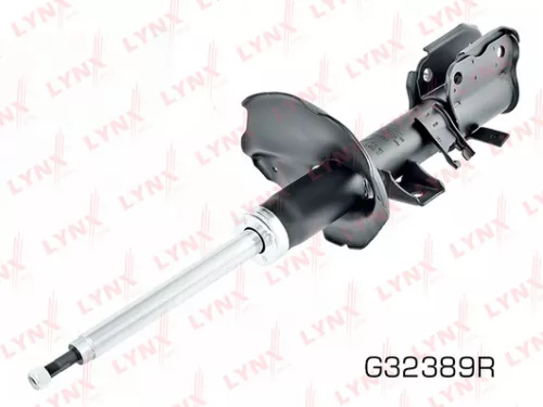 Shock absorber strut gas, right, front