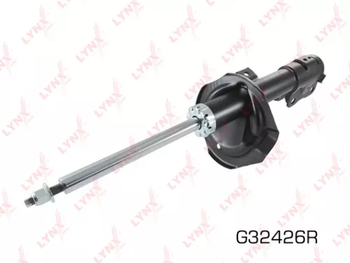 Shock absorber strut gas, right, front