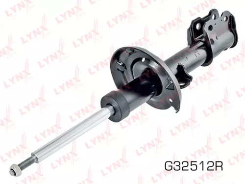 Shock absorber strut gas, right, front