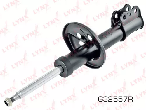 Shock absorber strut gas, right, front