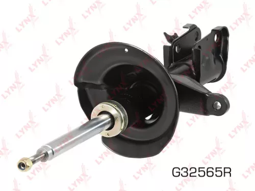 Shock absorber strut gas, right, front