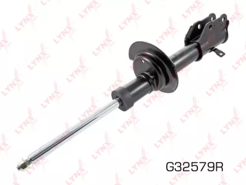 Shock absorber strut gas, right, front