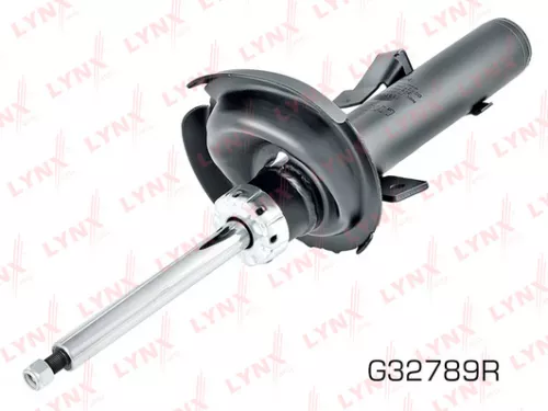Shock absorber strut gas, right, front