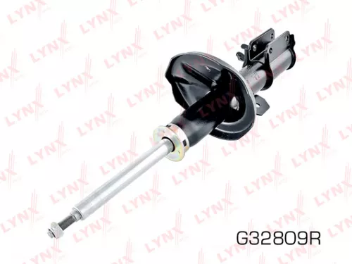 Shock absorber strut gas, right, front