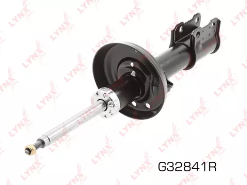 Shock absorber strut gas, right, front