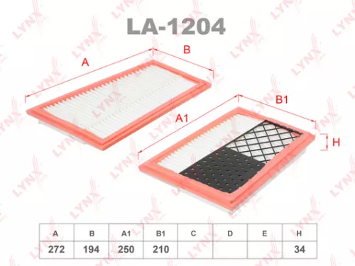 Air filter (x2)
