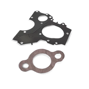 Seal, Timing Chain Tensioner