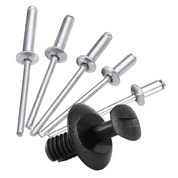 Rivet